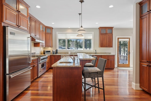 kitchen with premium appliances, glass insert cabinets, under cabinet range hood, and an island with sink