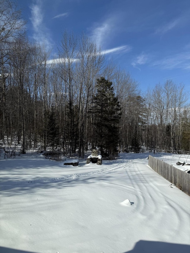 view of snowy yard