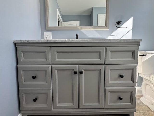 bathroom with vanity and wood finished floors