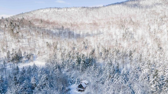 drone / aerial view featuring a wooded view