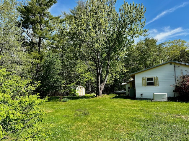 view of yard with an outbuilding and a storage unit