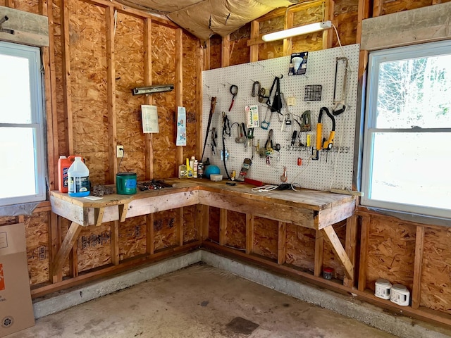 interior space with unfinished concrete floors, a healthy amount of sunlight, and a workshop area