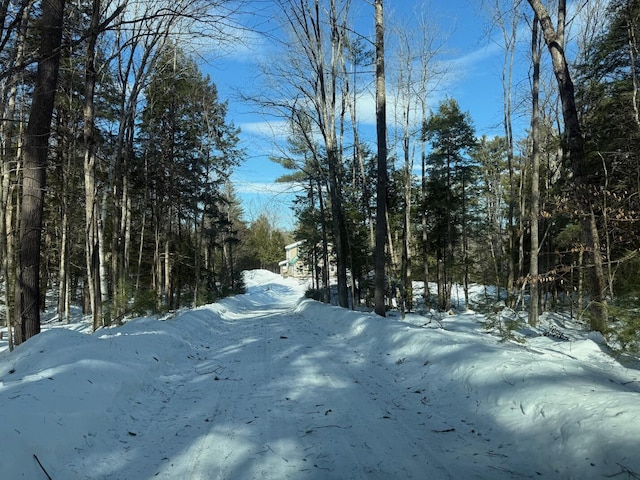 view of road featuring a view of trees