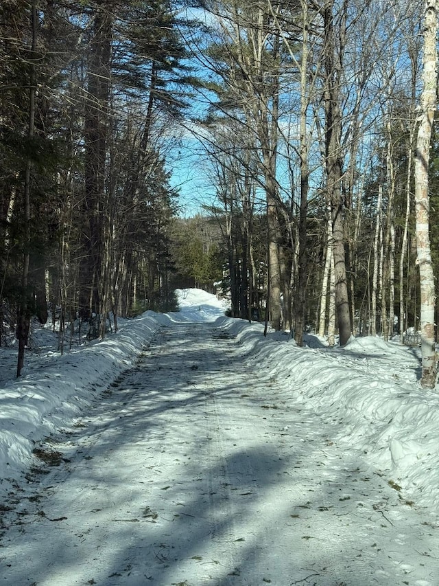 view of road with a forest view