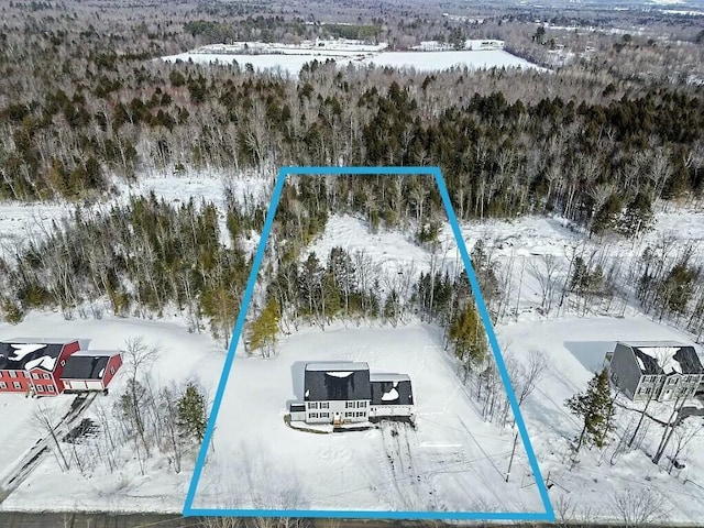 snowy aerial view with a view of trees