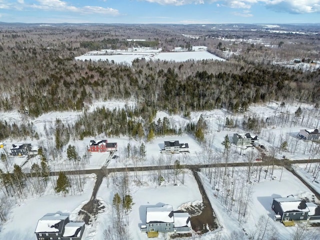 view of snowy aerial view