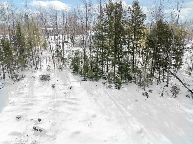 view of snowy landscape