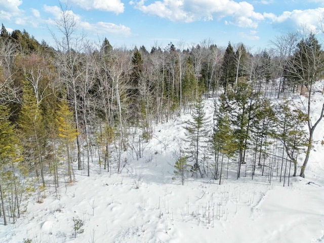 snowy landscape featuring a forest view