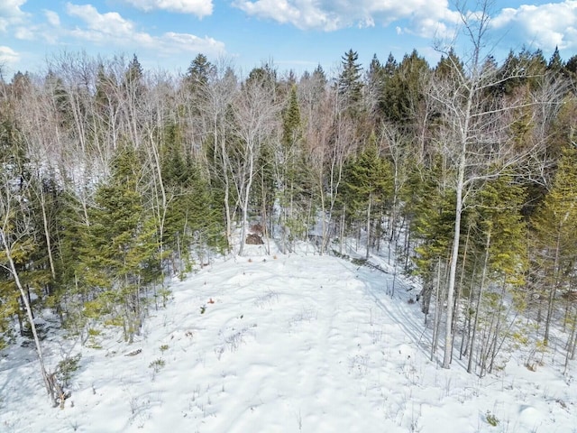 snowy view with a forest view