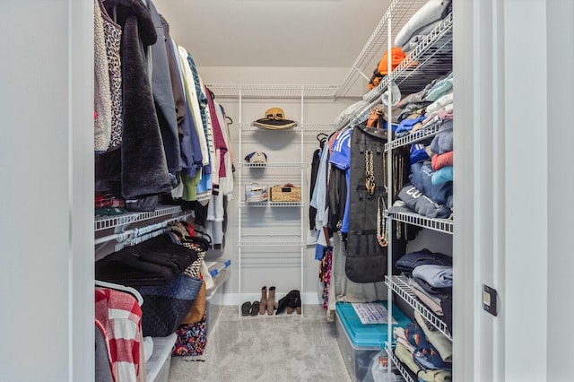 walk in closet with carpet floors