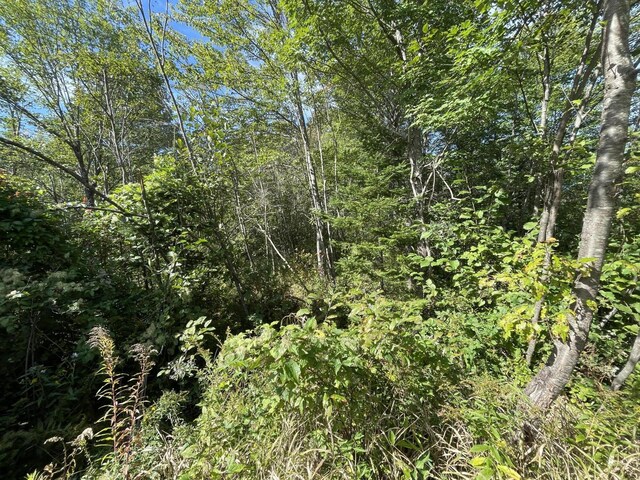 M11L5 Hancock Pond Rd, New Portland, ME 04961 - photo 4