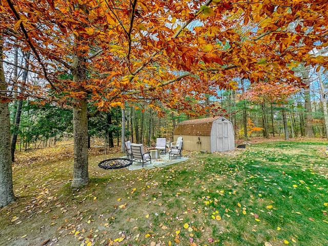 view of yard featuring an outbuilding, a patio area, and a storage unit