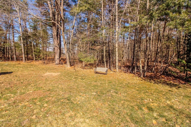 19 Shannon Dr, Bangor, ME 04401 - view of yard