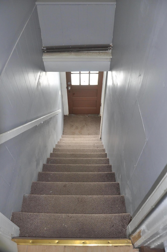 staircase featuring carpet floors