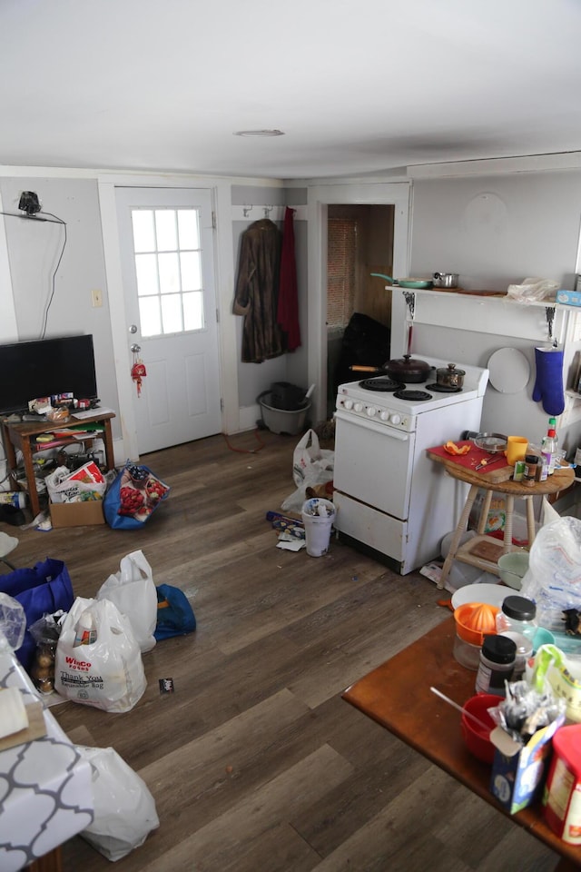 interior space featuring dark wood-style floors