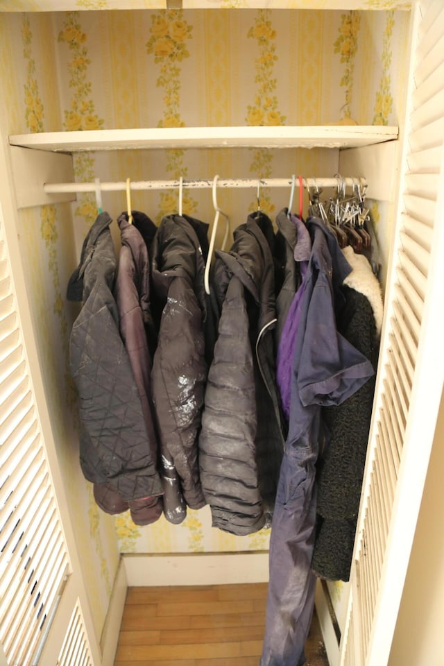 view of closet