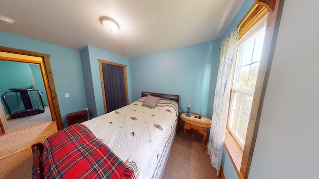 bedroom with a closet and carpet flooring