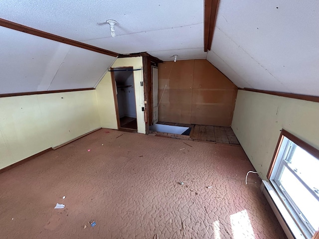 bonus room with lofted ceiling