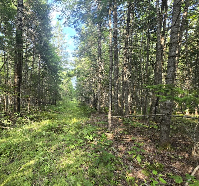 TBD Cummings Ln, Alton ME, 04468 land for sale