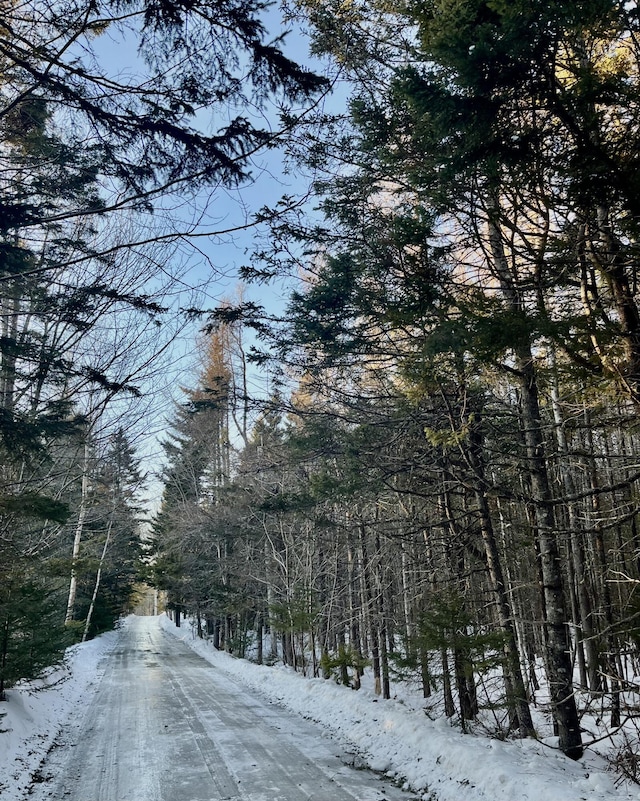 13 Jodys Acres Acres, Southwest Harbor, ME 04679 - photo 4