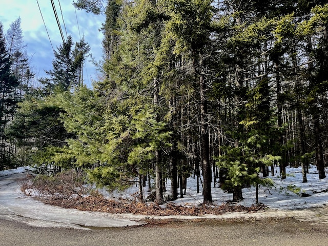 13 Jodys Acres Acres, Southwest Harbor, ME 04679 - photo 2