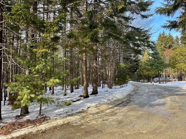 13 Jodys Acres Acres, Southwest Harbor, ME 04679 - photo 3