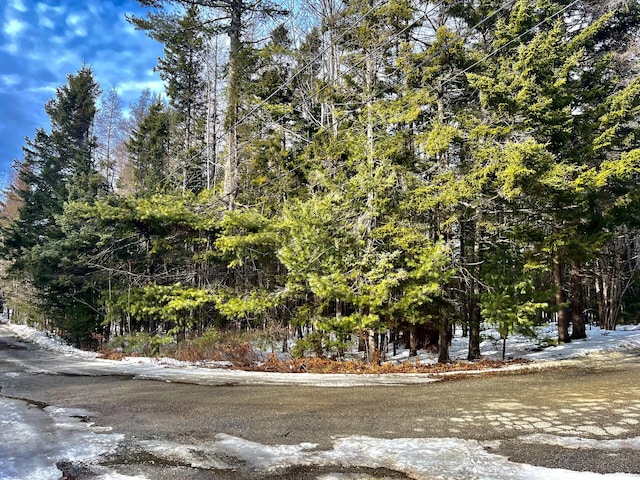 13 Jodys Acres Acres, Southwest Harbor, ME 04679 - photo 1