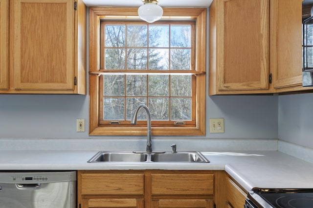 kitchen featuring a sink, light countertops, and stainless steel dishwasher