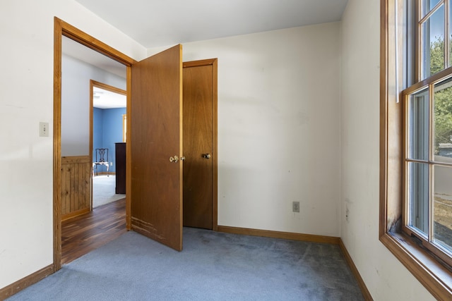 unfurnished bedroom with carpet, multiple windows, baseboards, and a closet