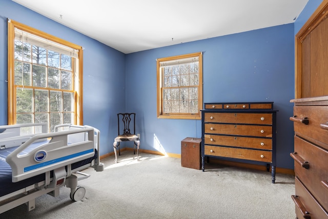 interior space featuring carpet, plenty of natural light, and baseboards