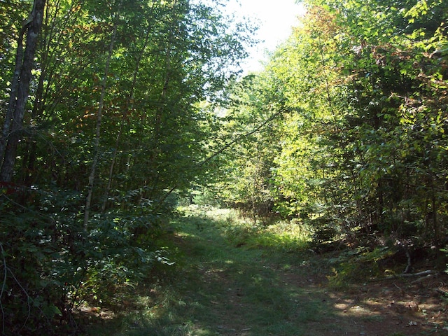 200 Hale Farm Rd, Lee, ME 04455 - photo 2