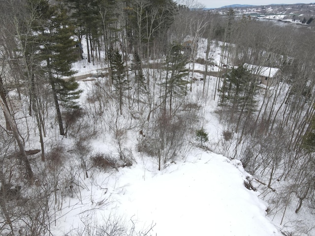 Listing photo 3 for 0 Patterson Hill Rd Lot 2, Belfast ME 04915