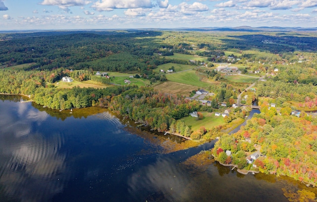 aerial view with a water view and a view of trees