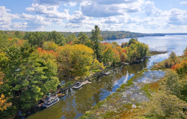 drone / aerial view featuring a water view and a forest view