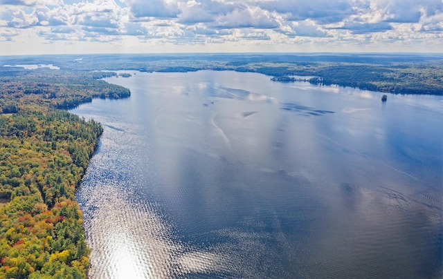 birds eye view of property with a water view and a forest view