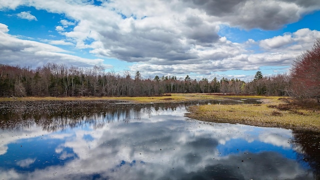 water view with a forest view