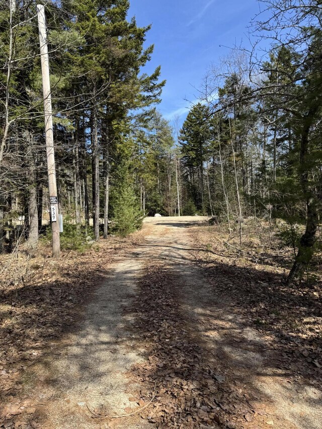 539 Sedgwick Ridge Rd, Sedgwick, ME 04676