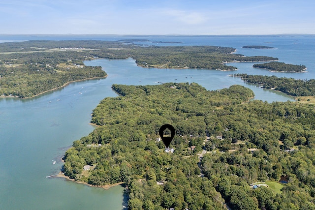 birds eye view of property with a water view and a forest view