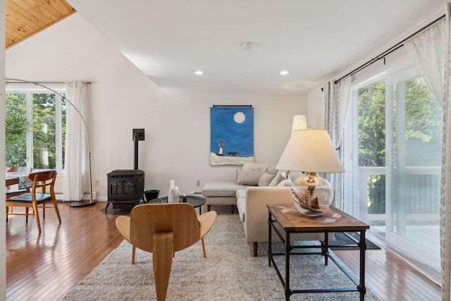 living room with a wood stove, wood-type flooring, and a wealth of natural light