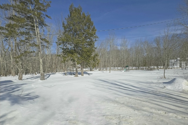 view of yard covered in snow