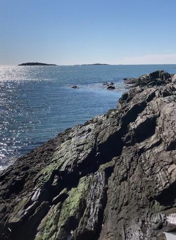 95 Blueberry Ln, Harpswell, ME 04066 - photo 33