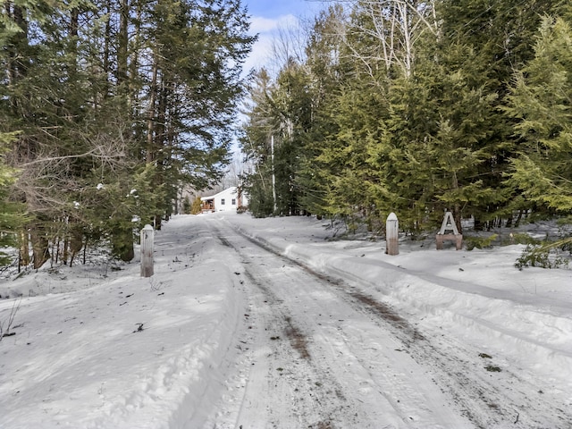 view of street featuring driveway