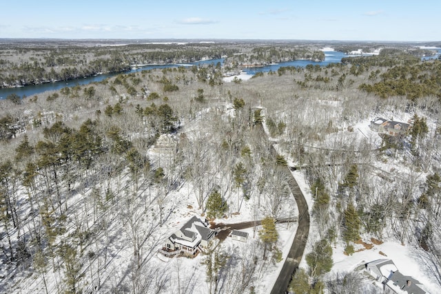 drone / aerial view with a water view and a wooded view