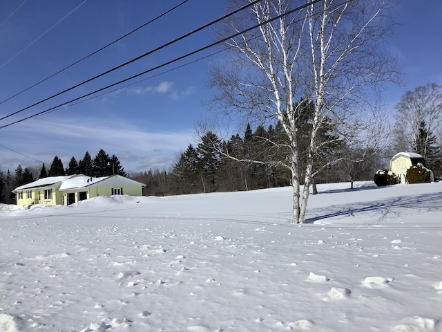 view of yard covered in snow