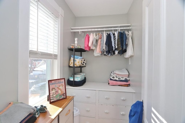 view of spacious closet