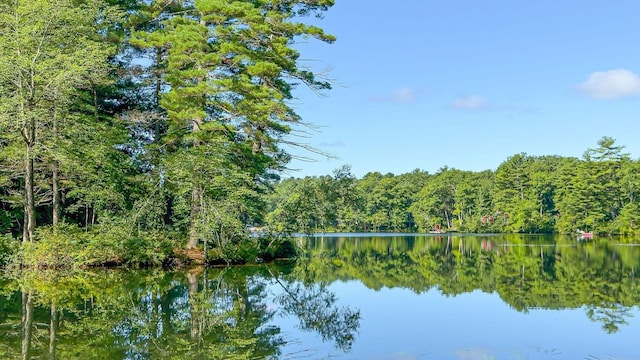 water view featuring a wooded view