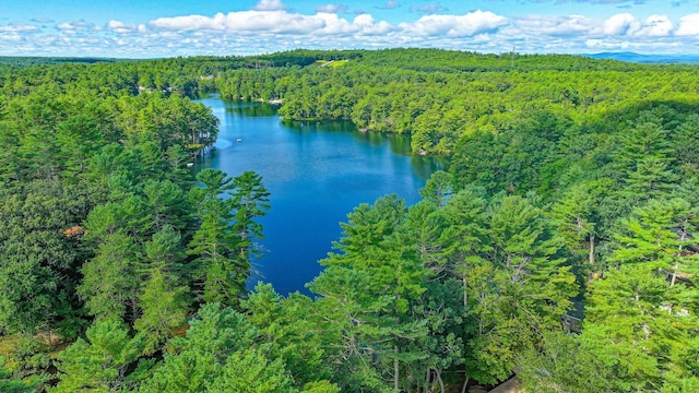 aerial view featuring a water view and a view of trees