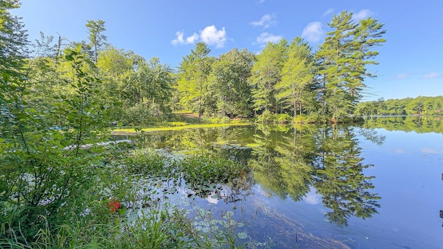 view of water feature featuring a view of trees