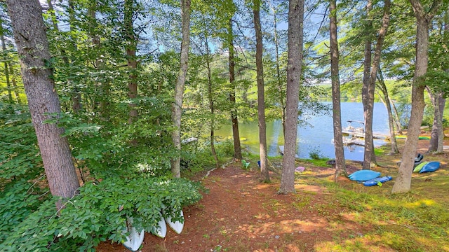 view of yard featuring a water view