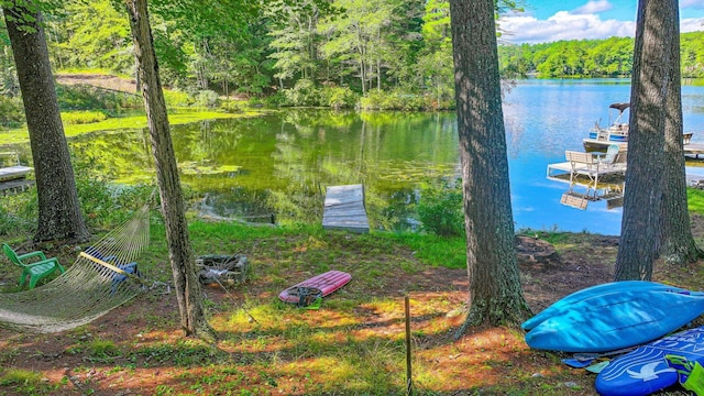 water view with a dock